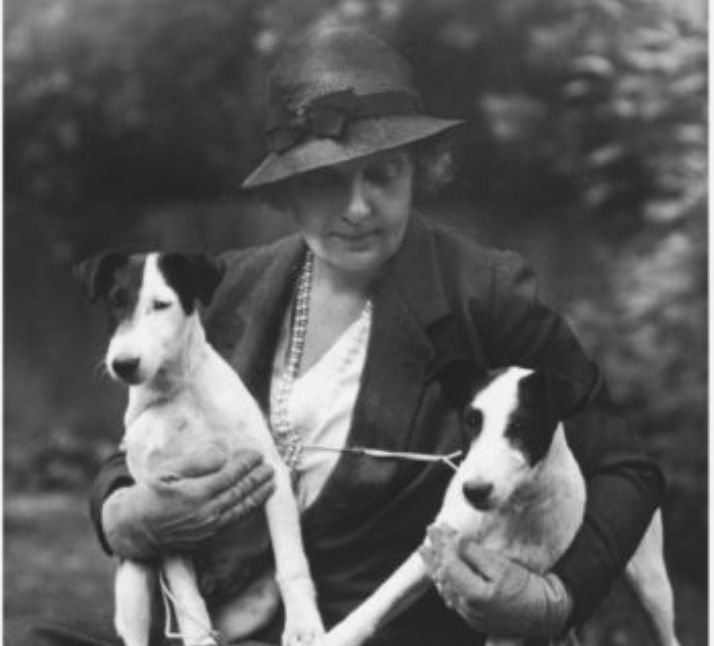 Individual Influence